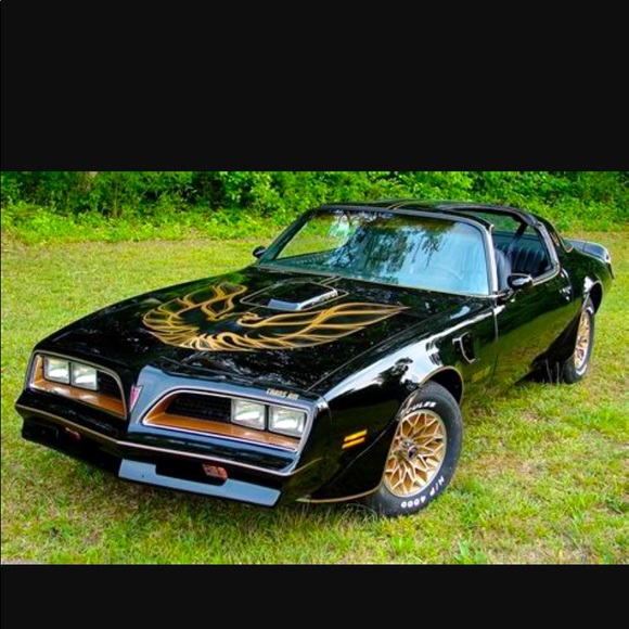 YEEEHAAA!!🌹✨💫 - Picture 1 of 1